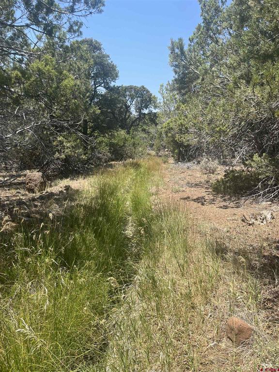 Tbd Uintah Road Property Photo 2