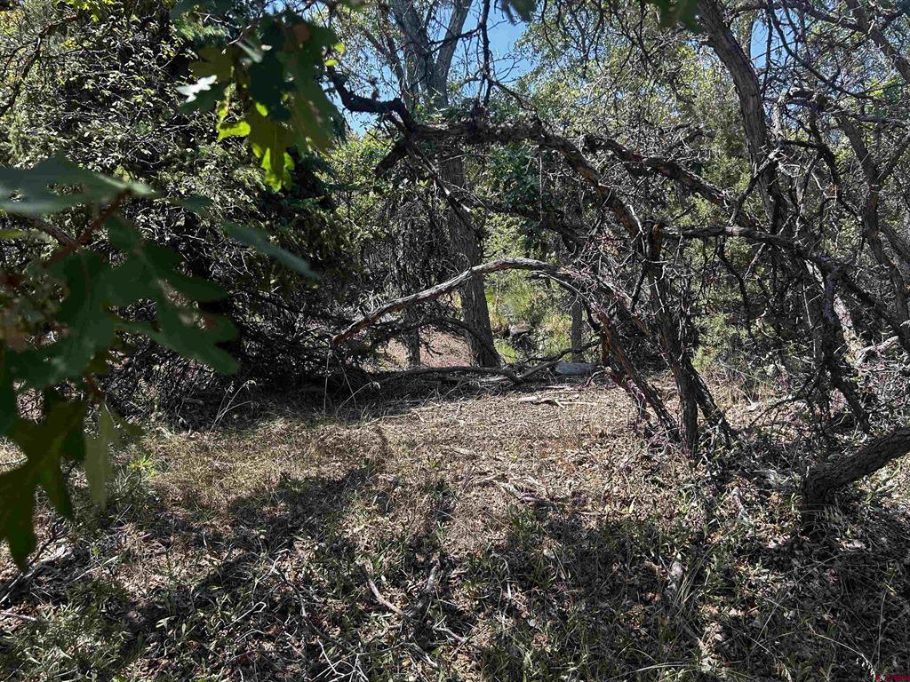 Tbd Uintah Road Property Photo 4