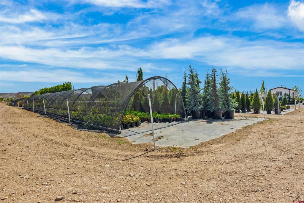 1702 10 Road Property Photo 6