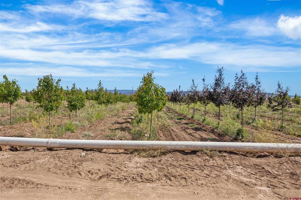 1702 10 Road Property Photo 17