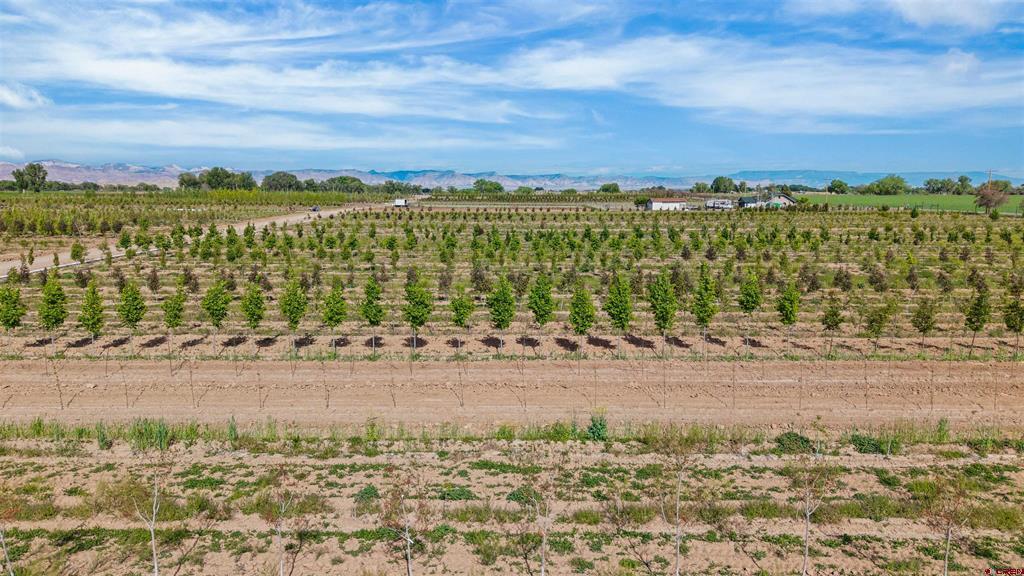 1702 10 Road Property Photo 20