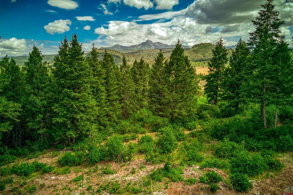 567 Lariat Pl Property Photo 36