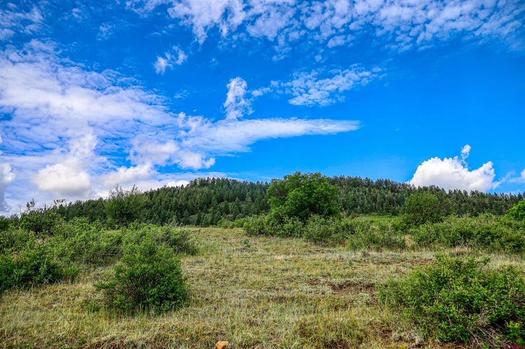 567 Lariat Pl Property Photo 40