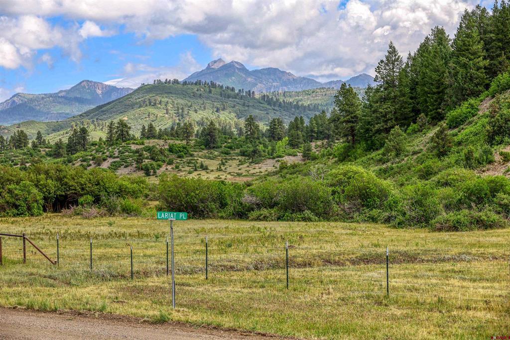 567 Lariat Pl Property Photo 41
