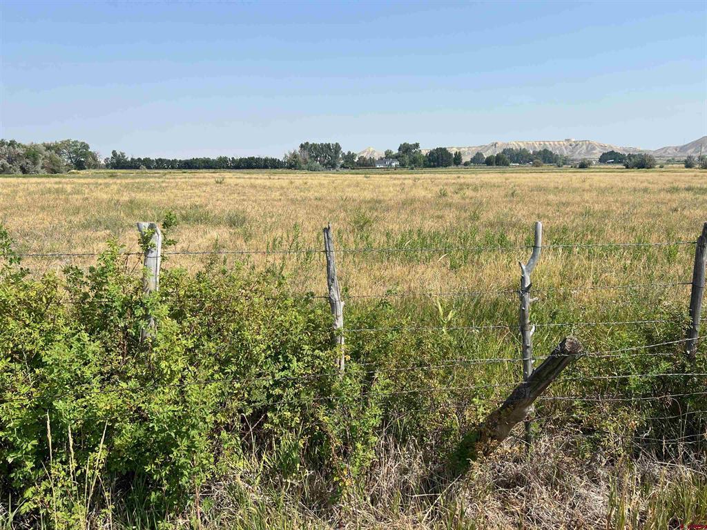 Trout Tbd Road Property Photo 4