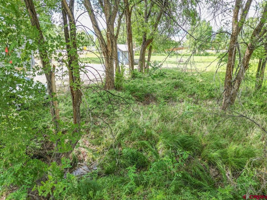 701 Highway 50 Property Photo 11