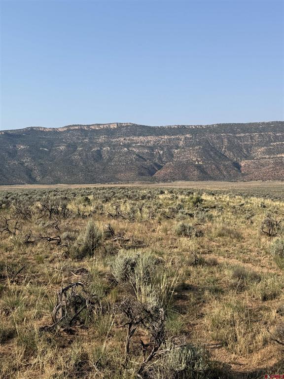 Tbd Hwy. 90 Highway Property Photo 15