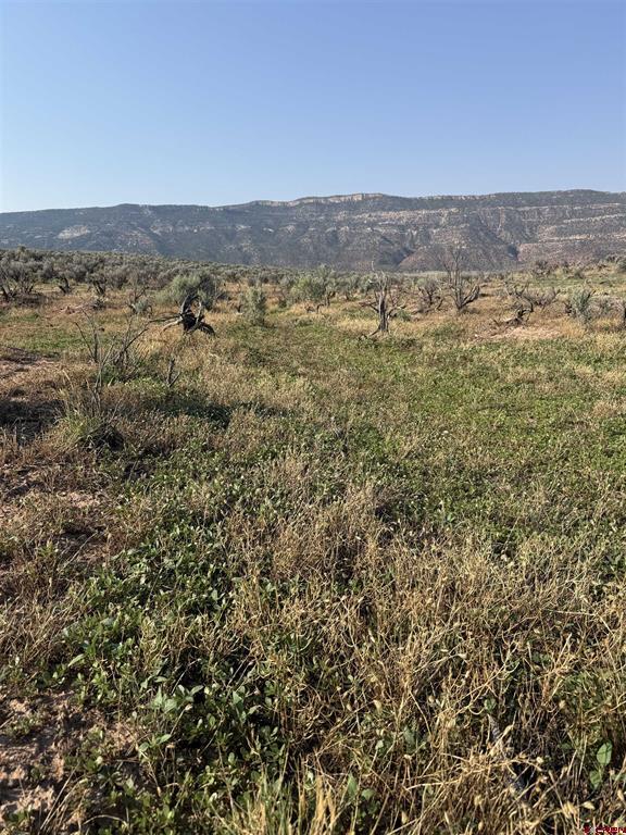 Tbd Hwy. 90 Highway Property Photo 21