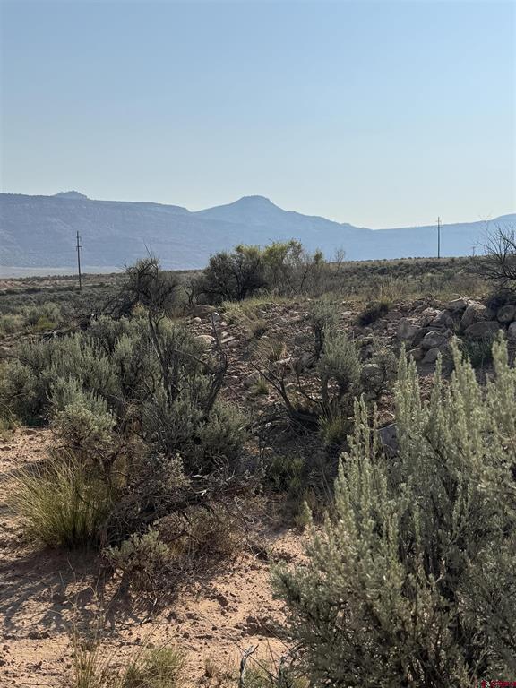 Tbd Hwy. 90 Highway Property Photo 28