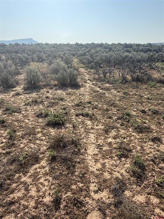 Tbd Hwy. 90 Highway Property Photo 31