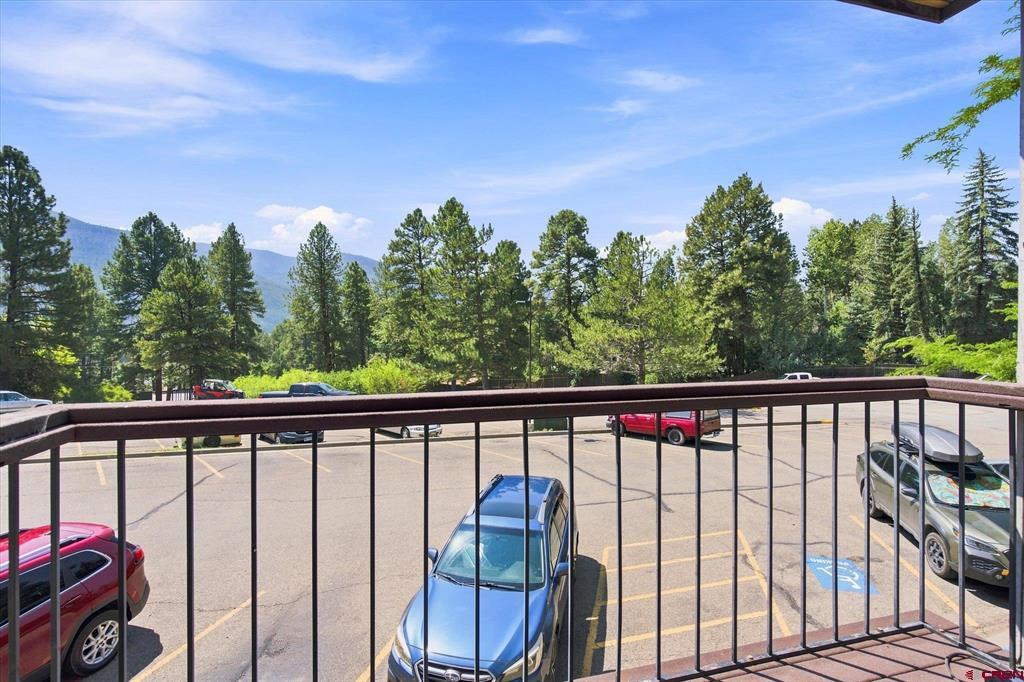 34237 Highway 550 Property Photo 17