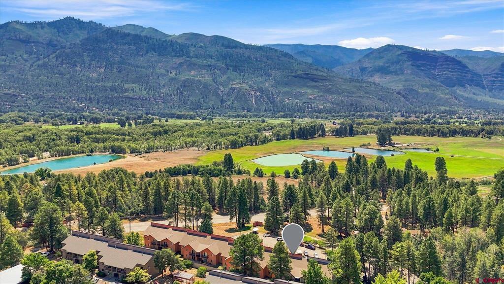 34237 Highway 550 Property Photo 22