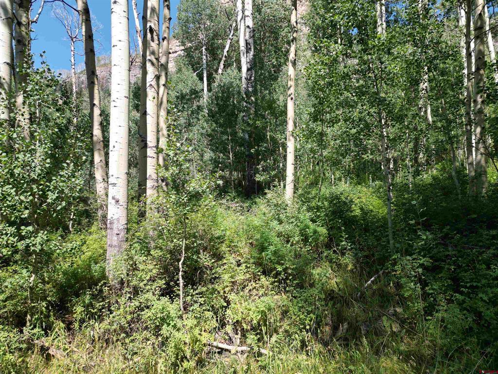 718 Hermosa Cliffs Road Property Photo 2