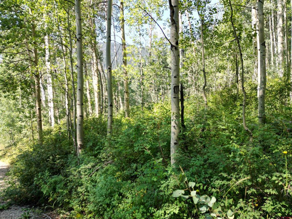 718 Hermosa Cliffs Road Property Photo 5