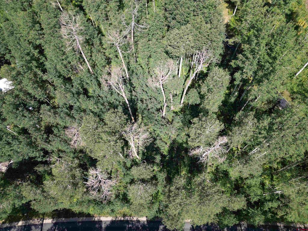 718 Hermosa Cliffs Road Property Photo 10
