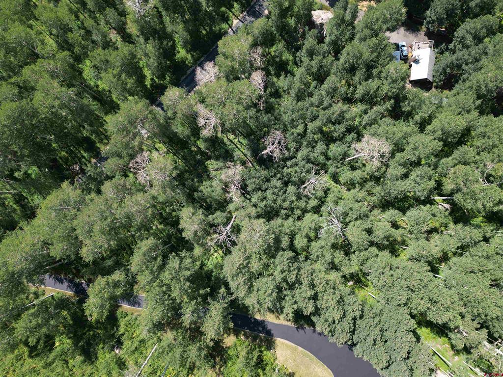 718 Hermosa Cliffs Road Property Photo 11