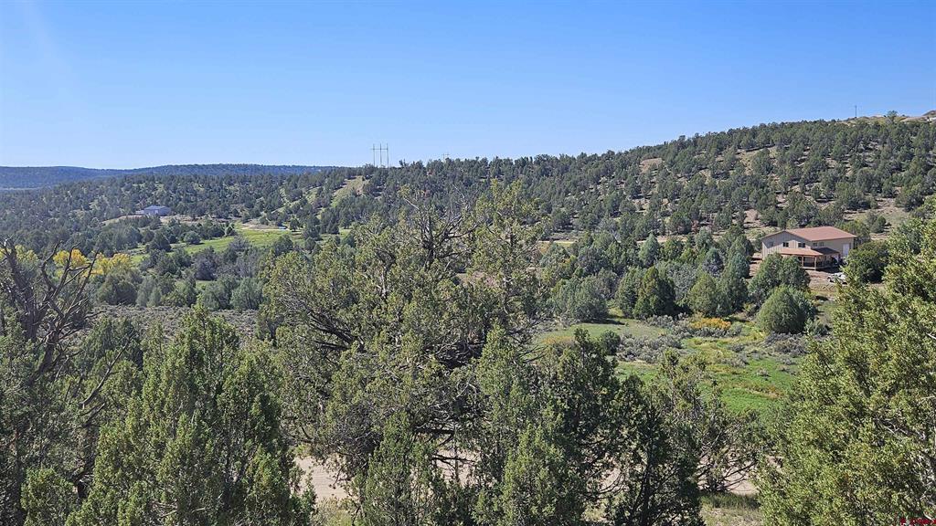 3605 Cr 307 Property Photo 1