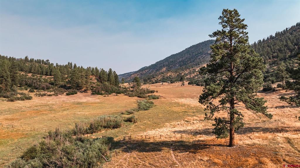 25203 160 Highway Property Photo 15