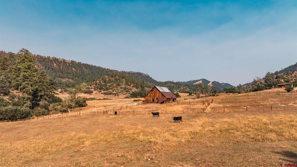 25203 160 Highway Property Photo 19