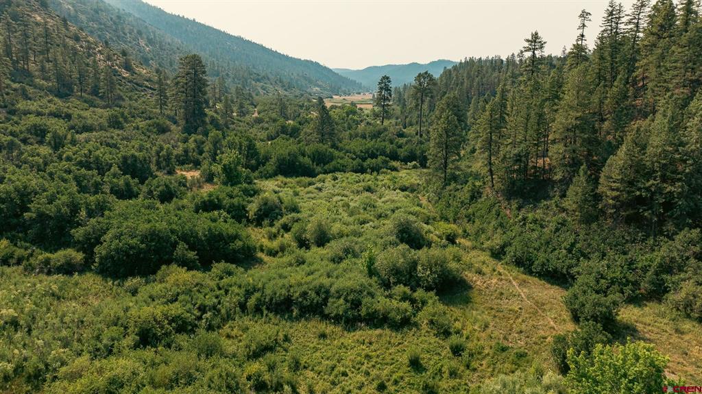 25203 160 Highway Property Photo 24