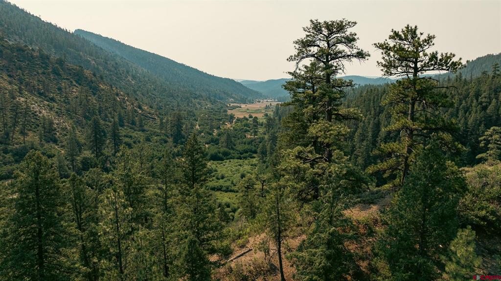 25203 160 Highway Property Photo 26