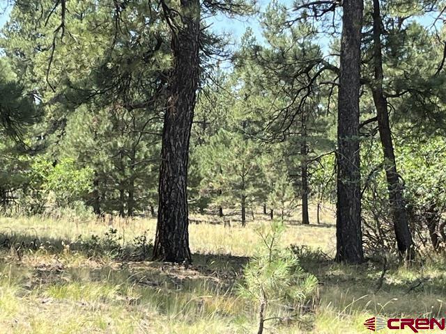 X County Road 600 A Property Photo 2