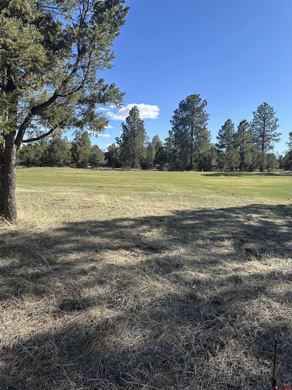 Tbd V314 Marmot Drive Property Photo 9