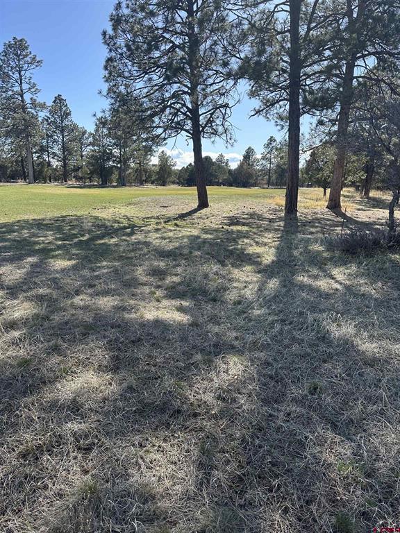 Tbd V314 Marmot Drive Property Photo 10