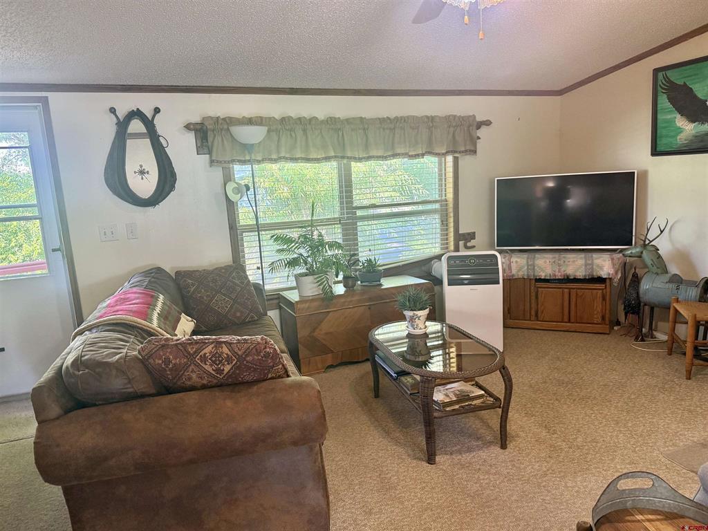 62880 Lasalle Road Property Photo 19