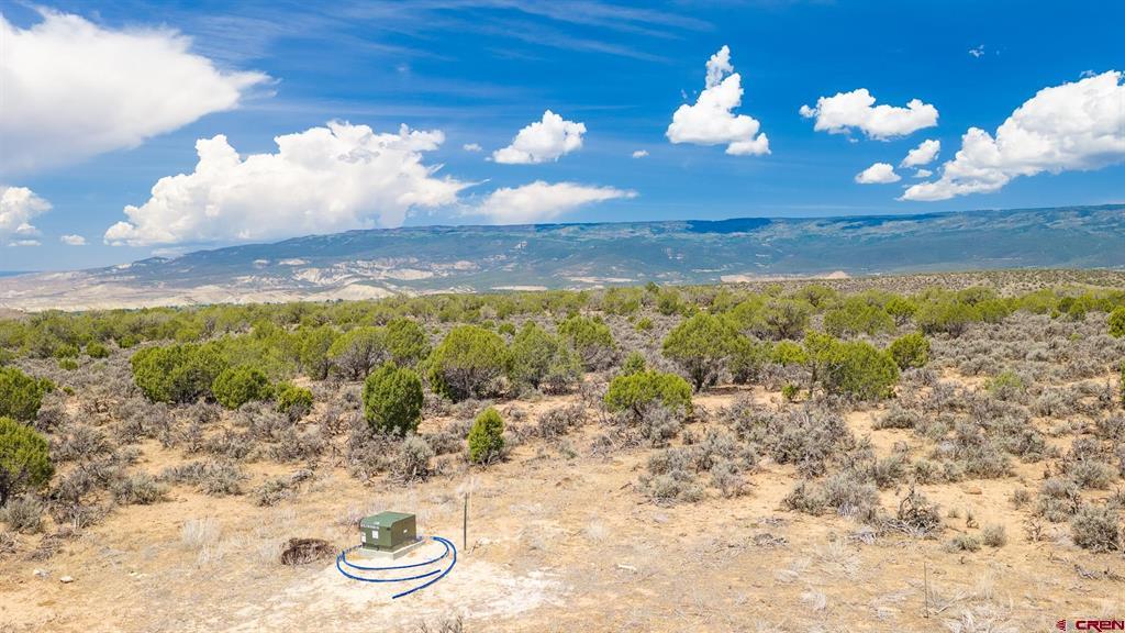 15369 2525 Road Property Photo 13