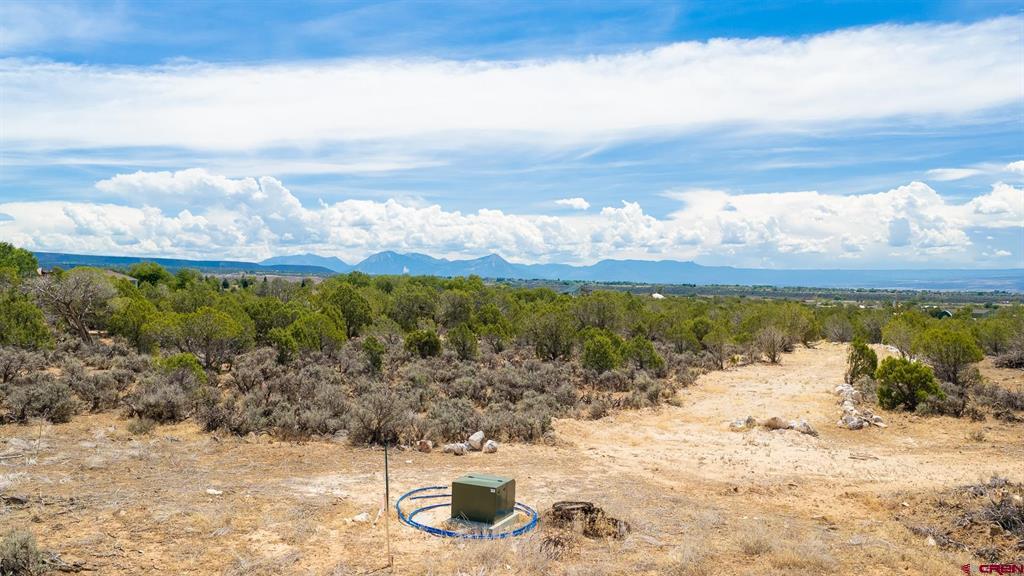 15369 2525 Road Property Photo 16