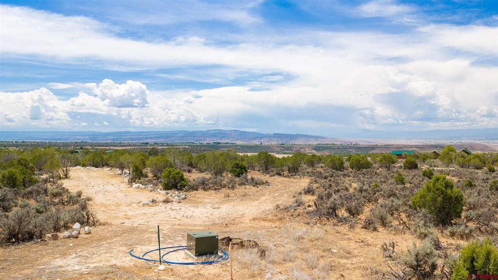 15369 2525 Road Property Photo 17