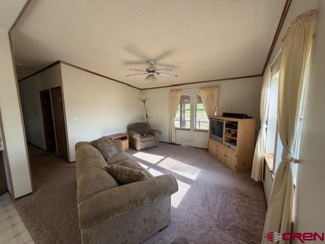 3511 Cr 514 Property Photo 7