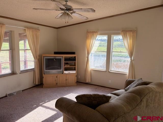 3511 Cr 514 Property Photo 8