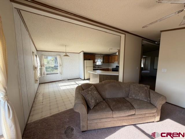 3511 Cr 514 Property Photo 9