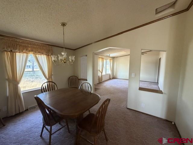 3511 Cr 514 Property Photo 12