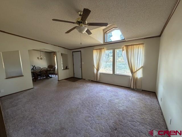 3511 Cr 514 Property Photo 15