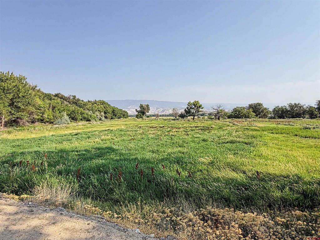 14885 G Road Property Photo 5