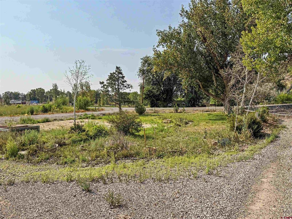 14885 G Road Property Photo 41