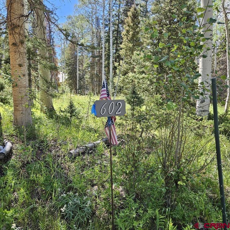 602 Snowshoe Lane Property Photo 1