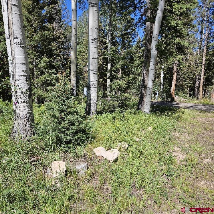 602 Snowshoe Lane Property Photo 2