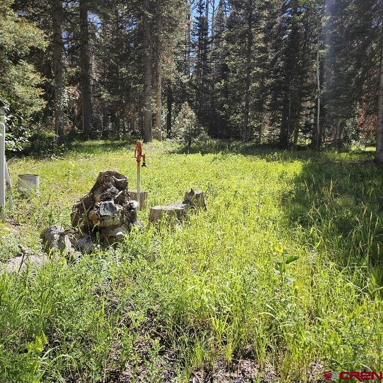 602 Snowshoe Lane Property Photo 4