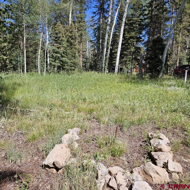 602 Snowshoe Lane Property Photo 6