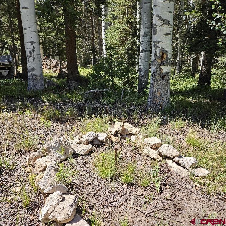 602 Snowshoe Lane Property Photo 7