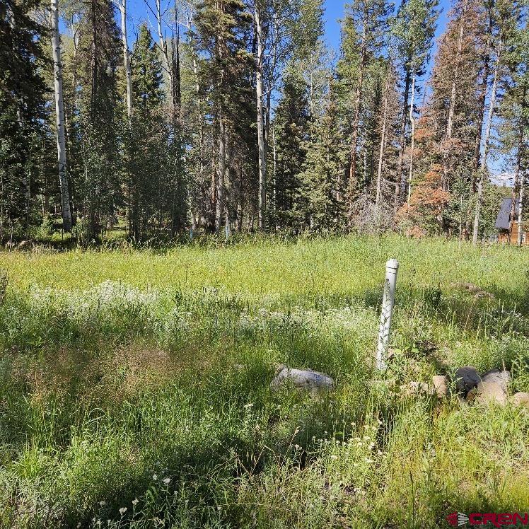 602 Snowshoe Lane Property Photo 8