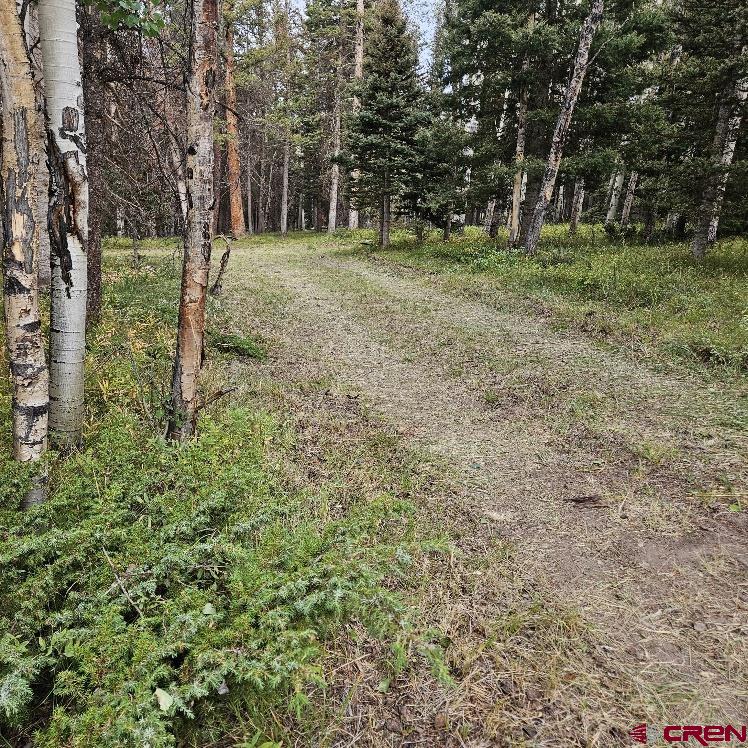 620 Balsam Road Property Photo 1