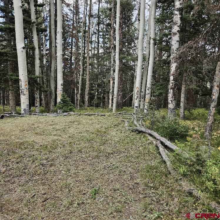 620 Balsam Road Property Photo 6