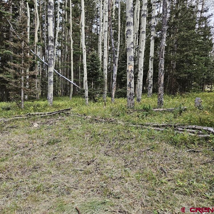 620 Balsam Road Property Photo 11