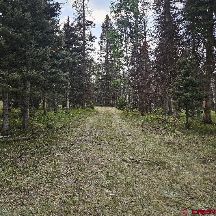 620 Balsam Road Property Photo 13