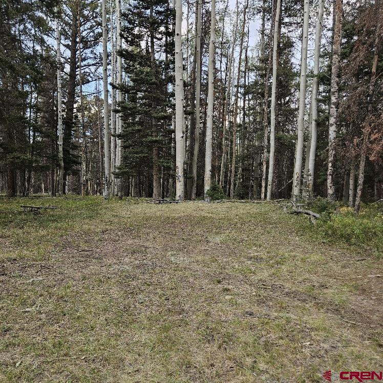 620 Balsam Road Property Photo 14